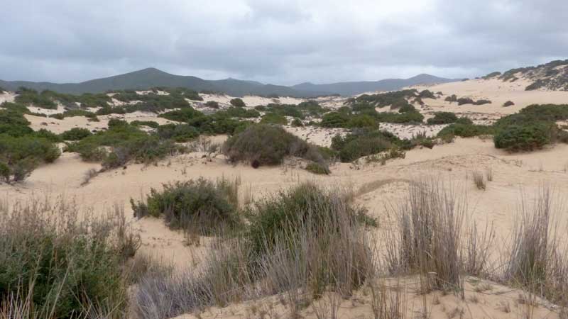 Dunes de Piscinas