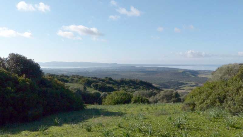 Vue sur la côte au sud-ouest depuis la Mont Sirai