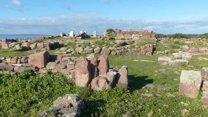 Monte-Sirai : le temple et les maisons
                    environantes