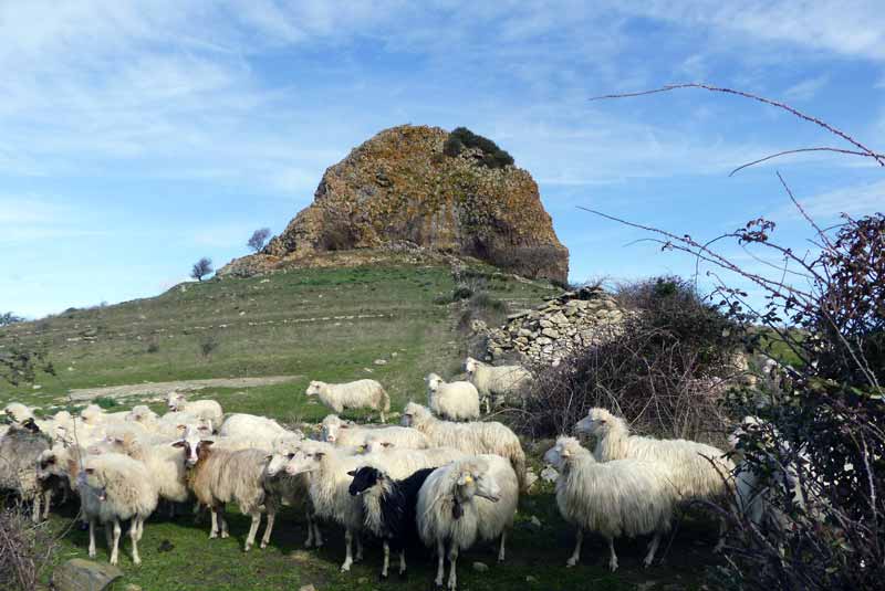 Giave-Sa-Rocca-de-Pedra-Mendarza