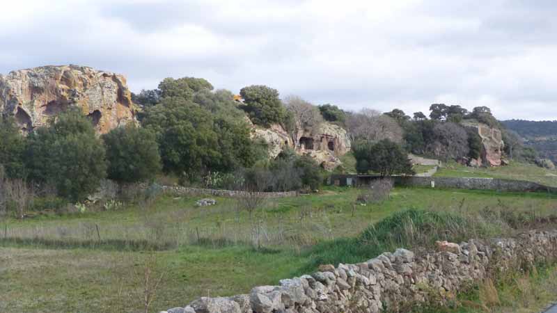 Necropoli-di-San'Andrea-Priu : vue générale en
                  arrivant sur le site