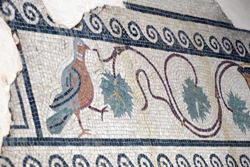 Medinaceli-mosaique-romaine