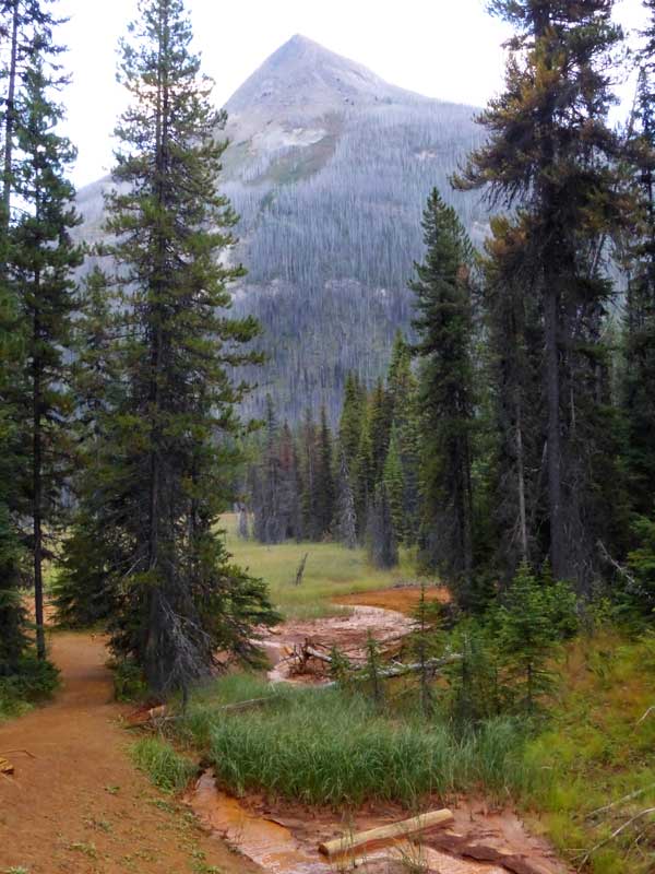Kootenay Park : sur le sentier des Paint Pots