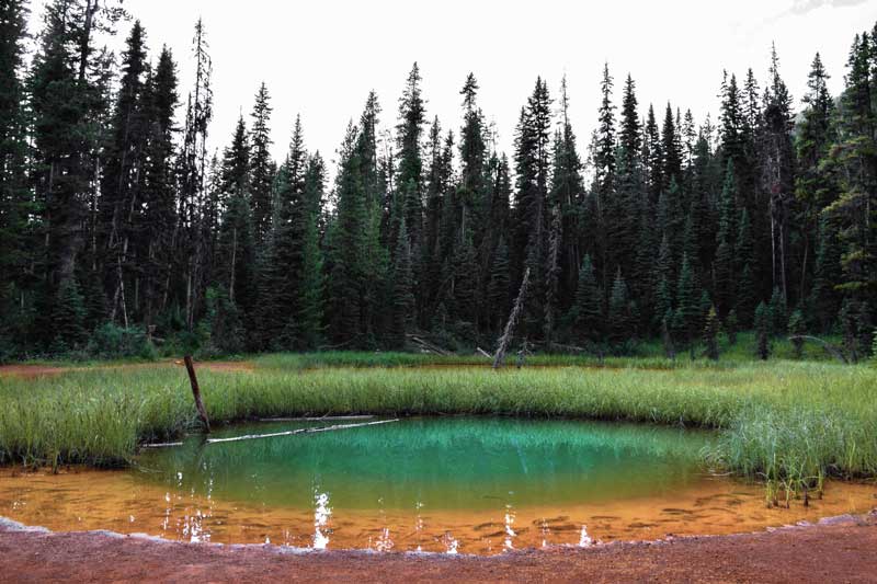 Kootenay
            Park : Paint Pot en soirée