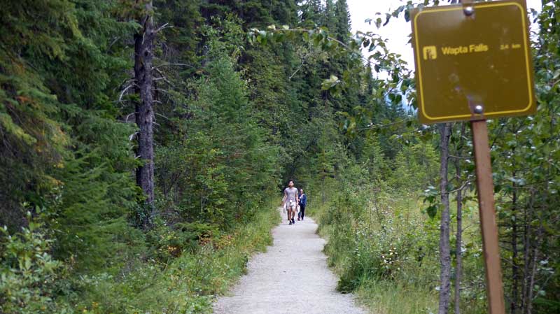 Sentier vers Wapta Falls