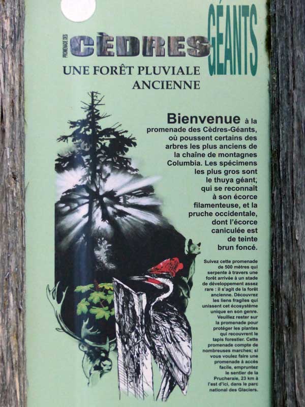 Sentier des Cédres géants notice