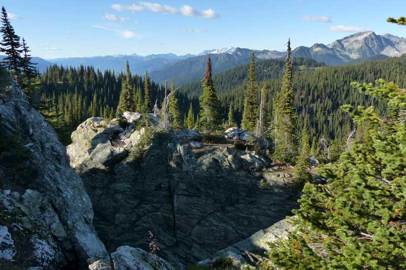 Parc national du Mt Revelstoke - Prés-dans-le-Cie :
            Sentier des Premiers Pas