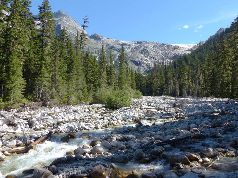 Sentier du Grand Glacier : Illecillewaett River
            descendant du glacier