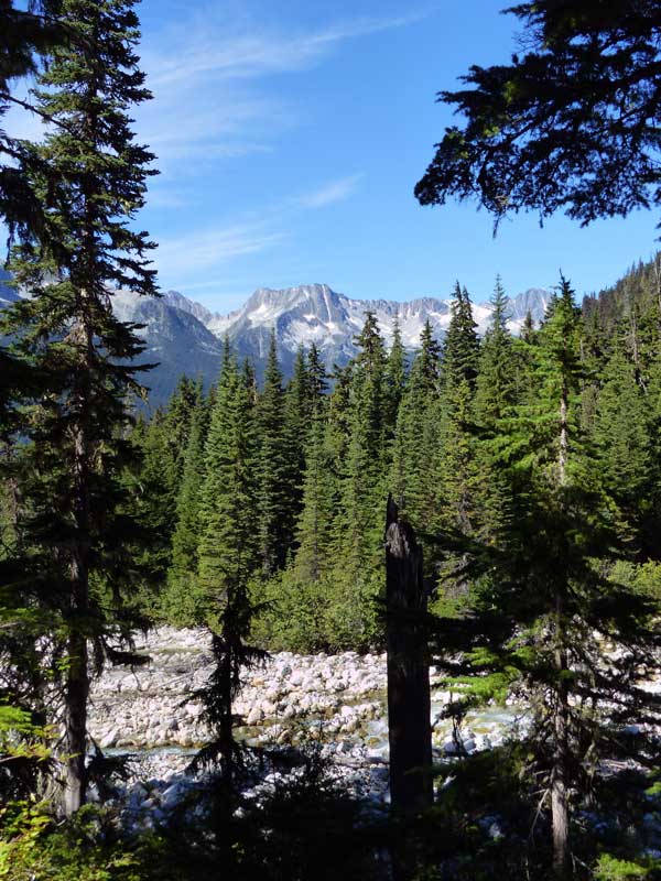 Sentier du Great Glacier : sous les arbres le long du
          torent