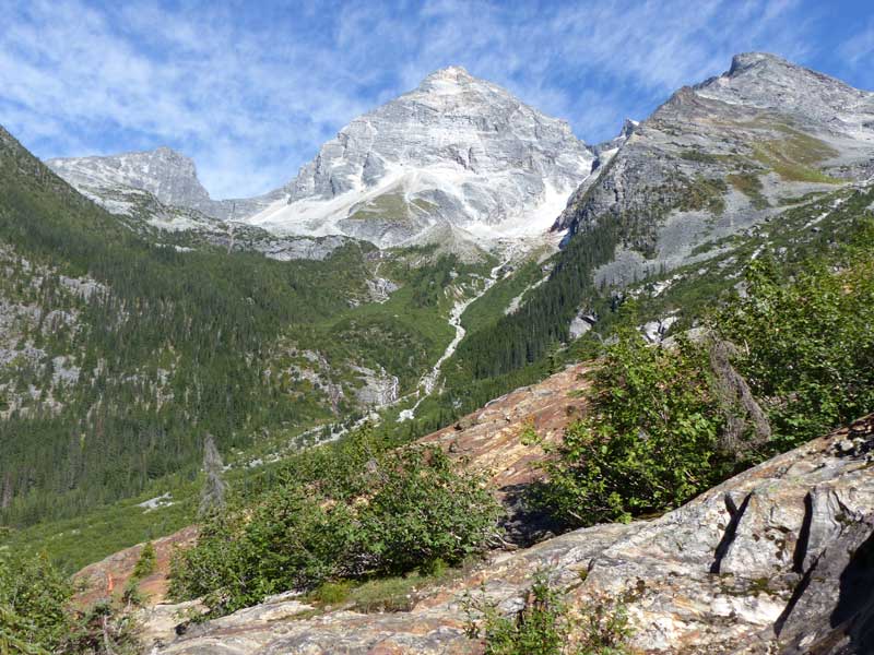 Panorama général