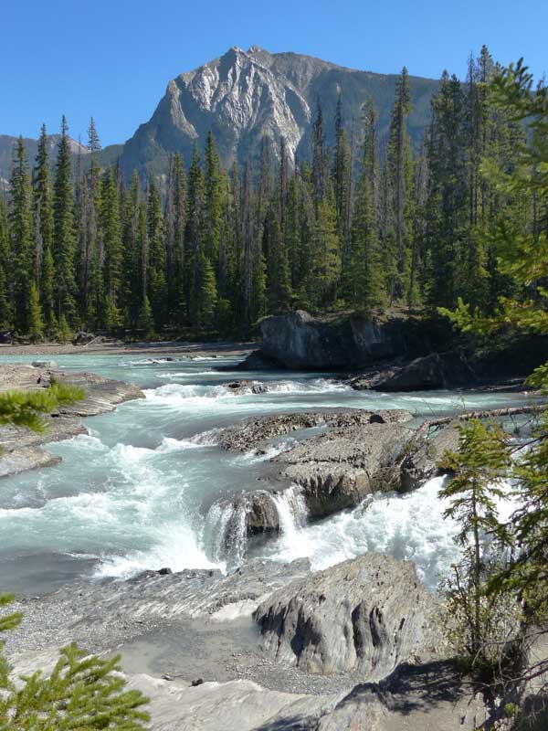 La
                    Kicking-Horse River en amont de Natural Bridge