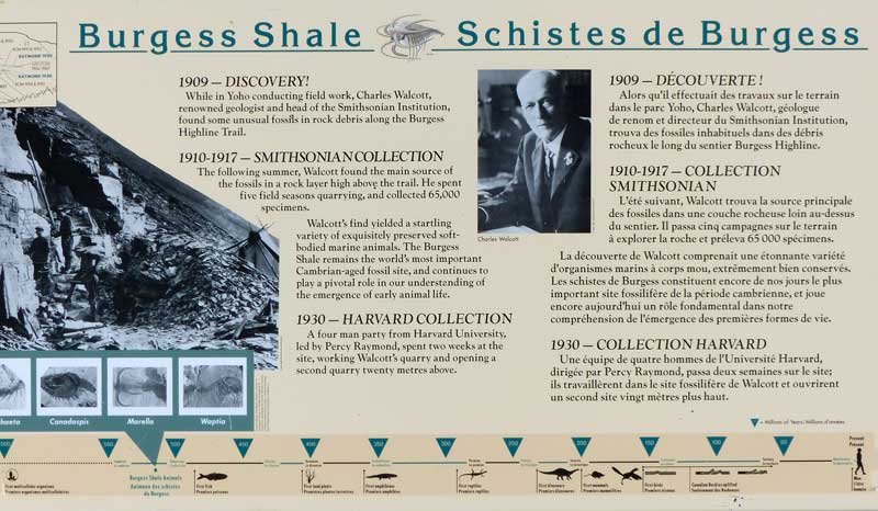 Fossiles-des-shistes de-Burgess