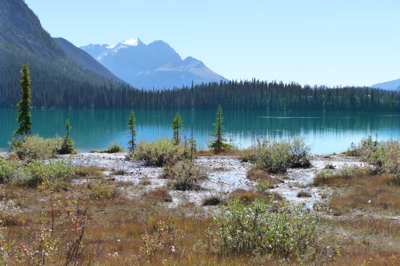 Parc Yoho - bout du lac Emerald en cours de comblement