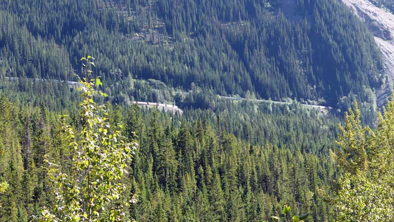 Un train passe dans le tunnel inférieur du Mt Ogden