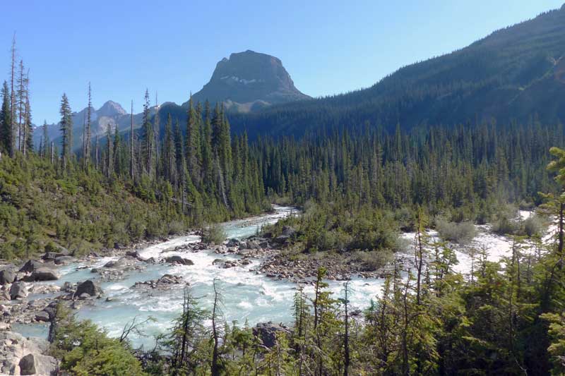 Yoho River