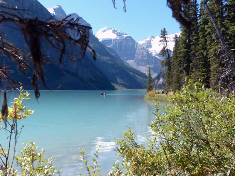 Tour du Lac louise : vue vers le glacier
