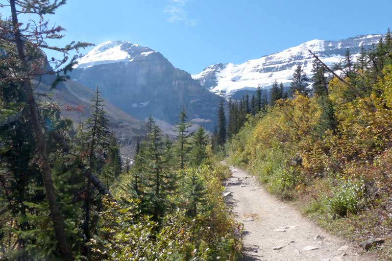 Sur le
            Sentier des la Plaine des Six glaciers