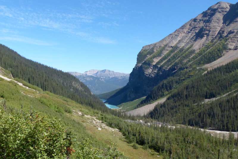 Lake Louise au sortir des arbres