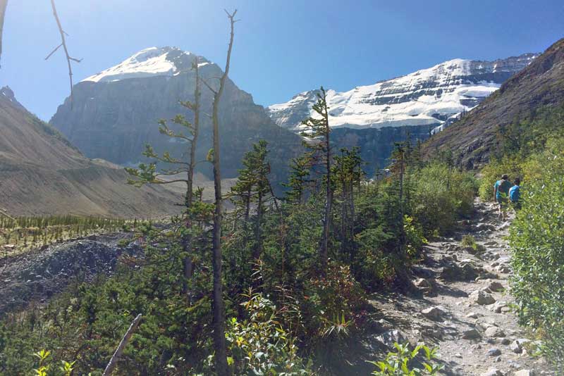 Lake-Louise: Sentier de la Plaine des Six-Glaciers sur
            la moraine