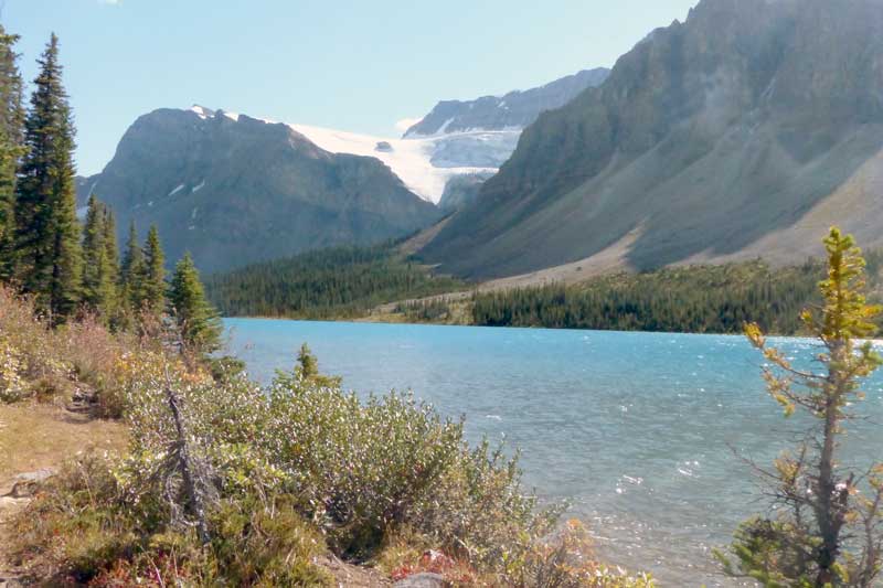 Glacier Crow-Foot au-dessus du Lac Bow