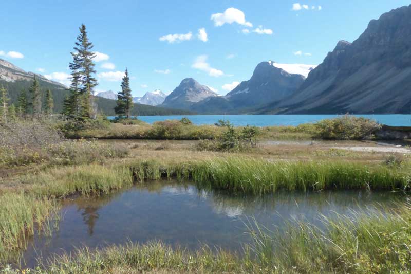 Lac
            Bow