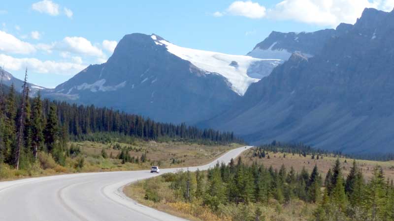 Glacier Crowfoot