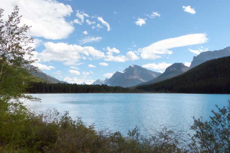 Lac Waterfowl
