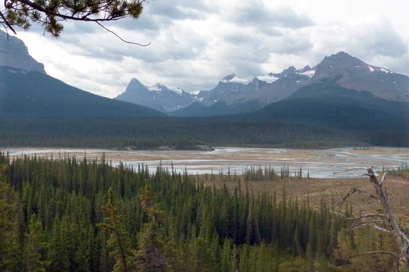 Depuis-Saskatchewan Crossing l'ouverture vers le Col
            Howse