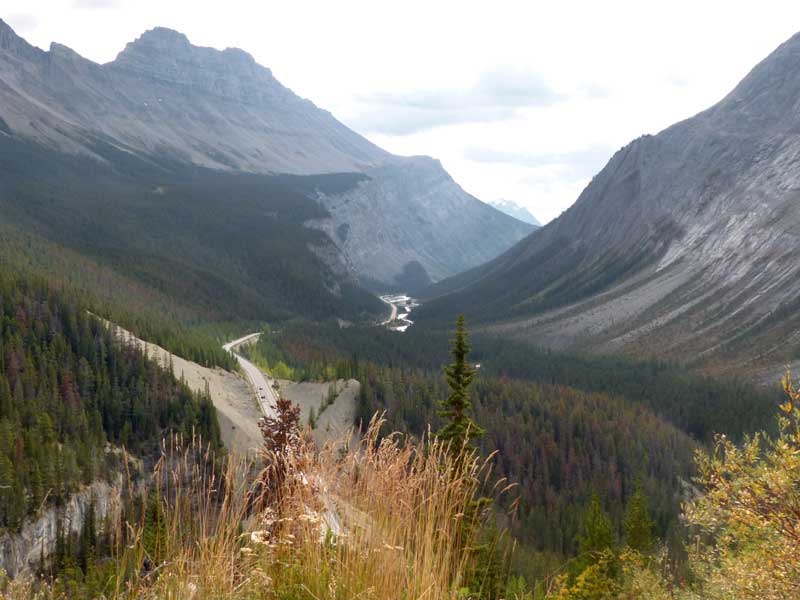 Vallée de la Haute-Saskatchewan en amont du col
                    Sunwapta