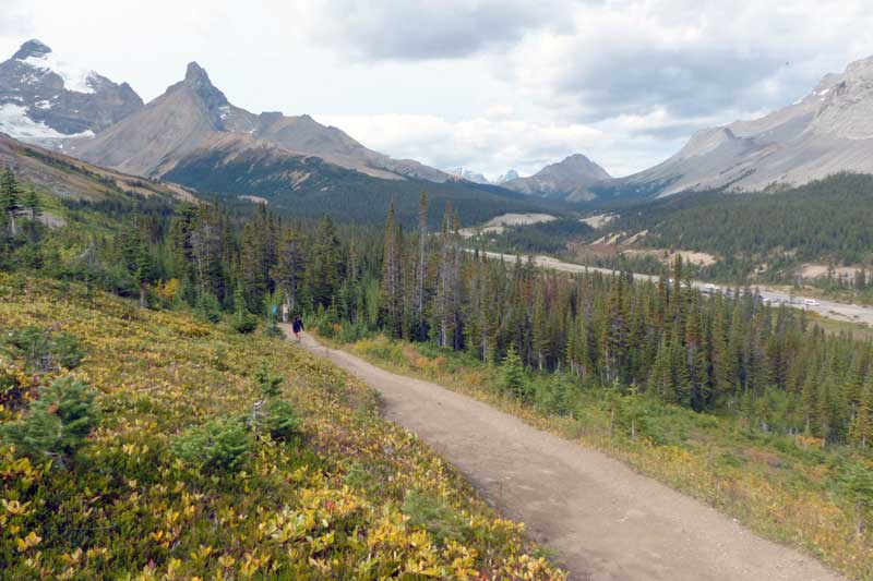 Parker-Ridge : au départ du sentier, vue en
                  direction du col Sunwapta au nord