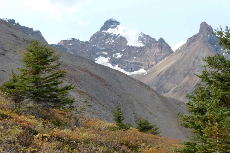 Mt Athabaska