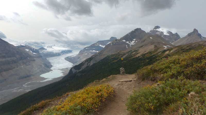 Glacier Saskatchewan et Mt Arthabasca