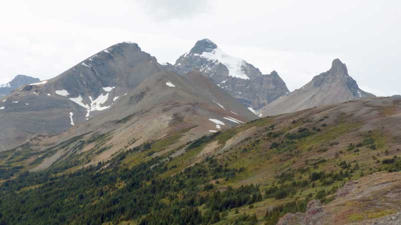 Parker
            Ridge : vers le Mt-Athabasca