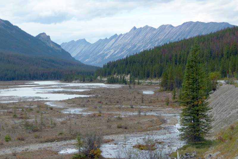 Sunwapta River Chaine Endless