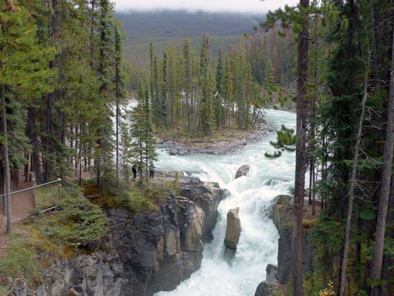 Chutes de la Sunwapta