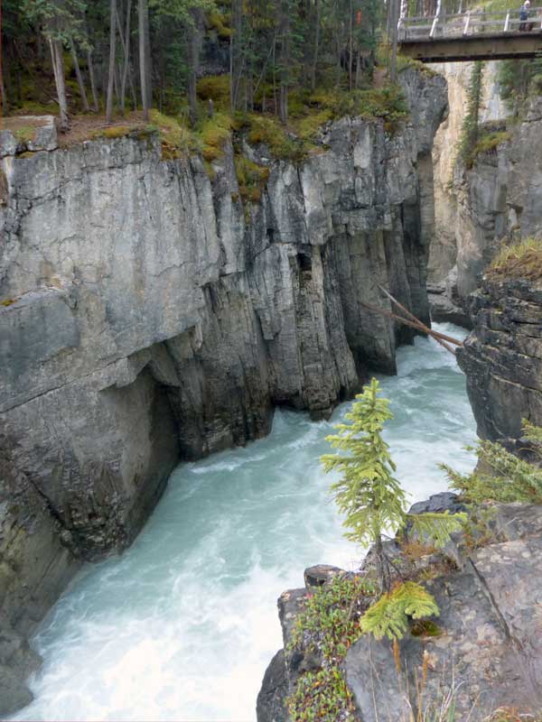 Canyon
                  des chutes de la Sunwapta