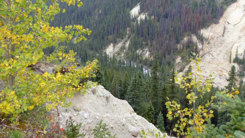 Abîme
                      le long de la Route Cavell