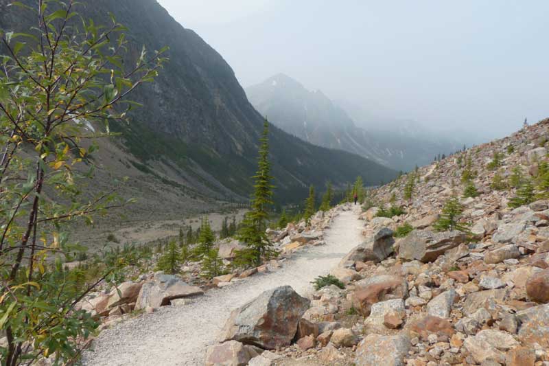 Sentier
              du Mt Edith-Cavell
