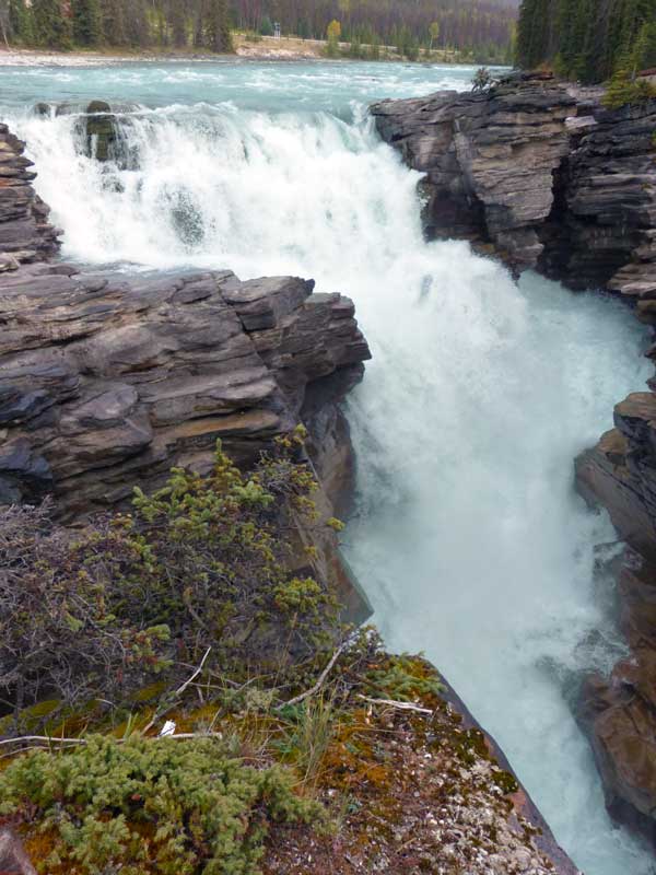 Chute
                    de l'Athabasca