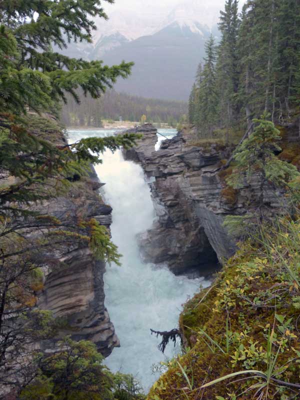 Chute
                    de l'Athabasca