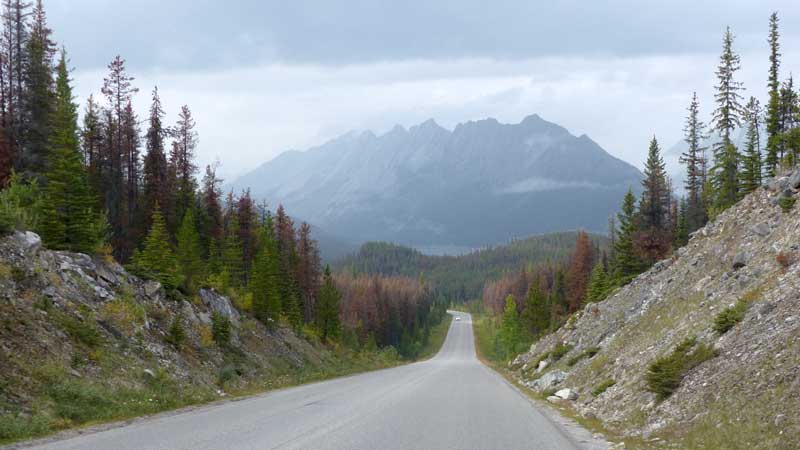 Route-de-la-Maligne-Descente-vers-le-canyon