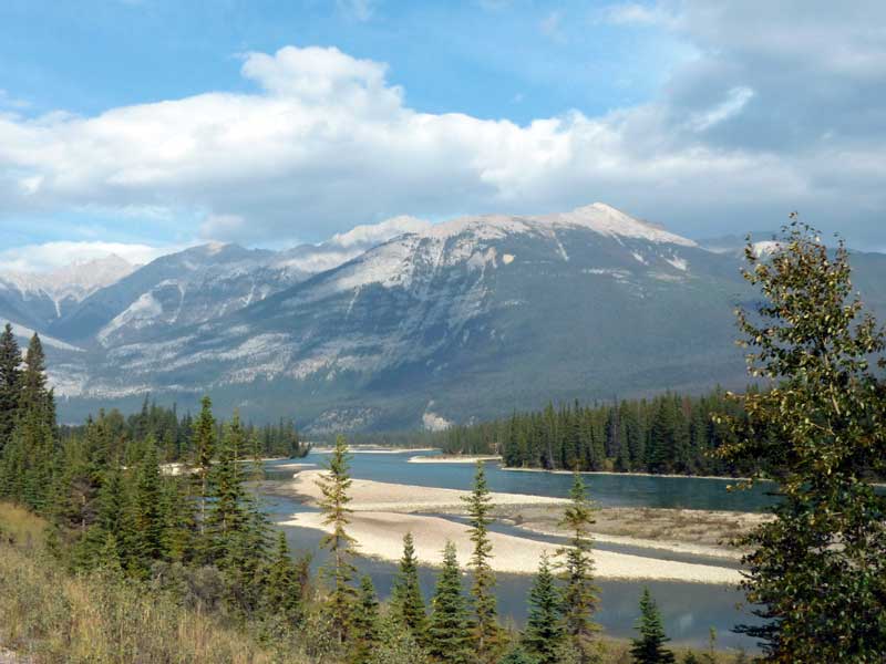 Athabasca River en aval de Jasper