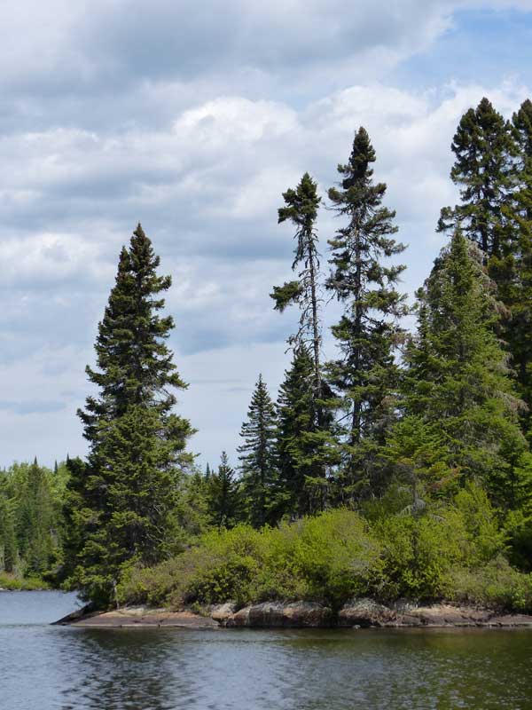Parc-national-de-la-Mauricie-Lac-du-Fou