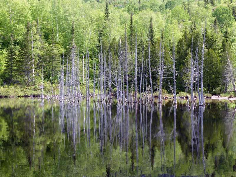 Parc-des-Monts-Valin-Lac-des-Peres