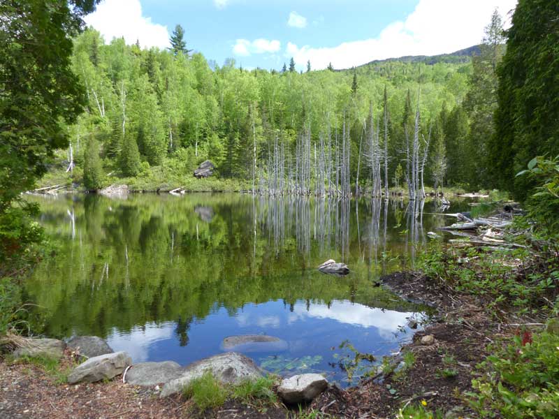 Parc-des-Monts-Valin-Lac-des-Peres