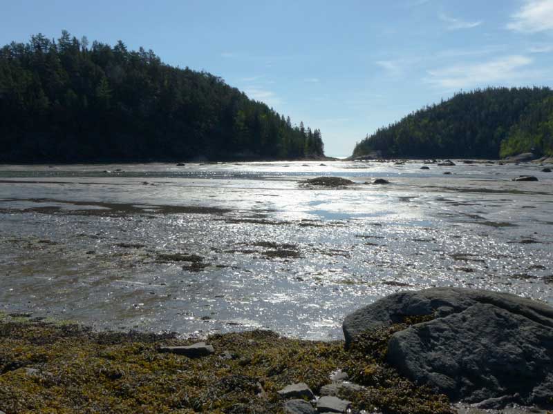 La
        Baie-des-Rochers au matin