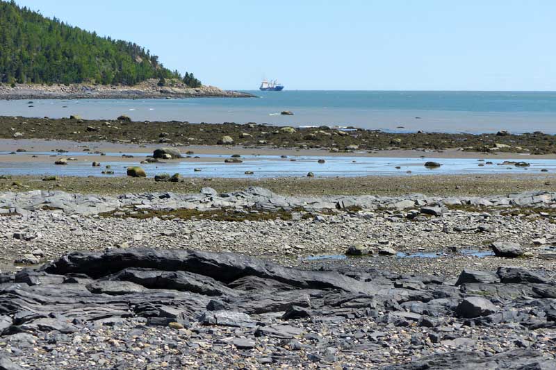 Cap-aux-Oies-navire