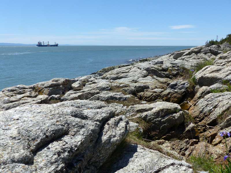 Cap-aux-Oies : le St-Laurent vers l'Ouest