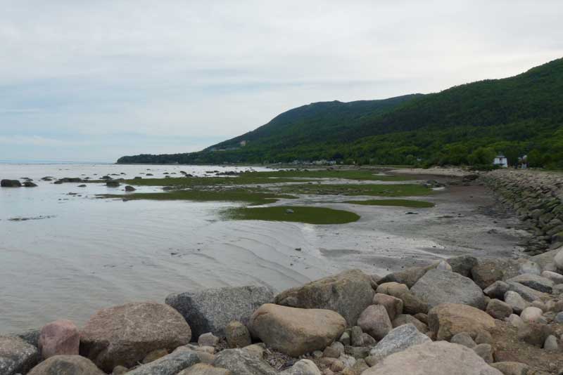 Depuis le quai de Petite-Rivière-St-François,
                    la côte vers le sud