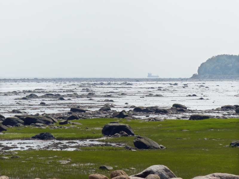 Depuis le quai de Petite-Rivière-St-Francois. les
          battures; un gros laquier passe sur le fleuve